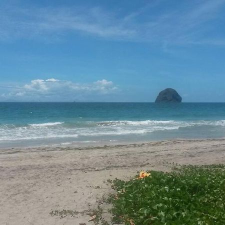 Charmant Et Spacieux Studio A 50M De La Plage Le Diamant Dış mekan fotoğraf