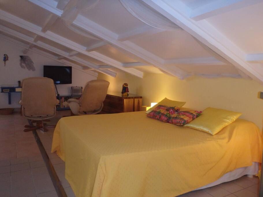 Charmant Et Spacieux Studio A 50M De La Plage Le Diamant Dış mekan fotoğraf