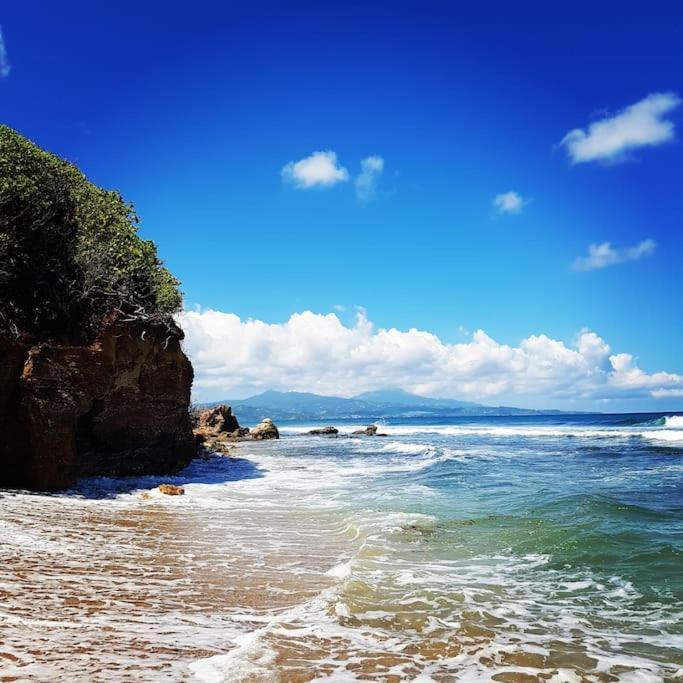 Charmant Et Spacieux Studio A 50M De La Plage Le Diamant Dış mekan fotoğraf