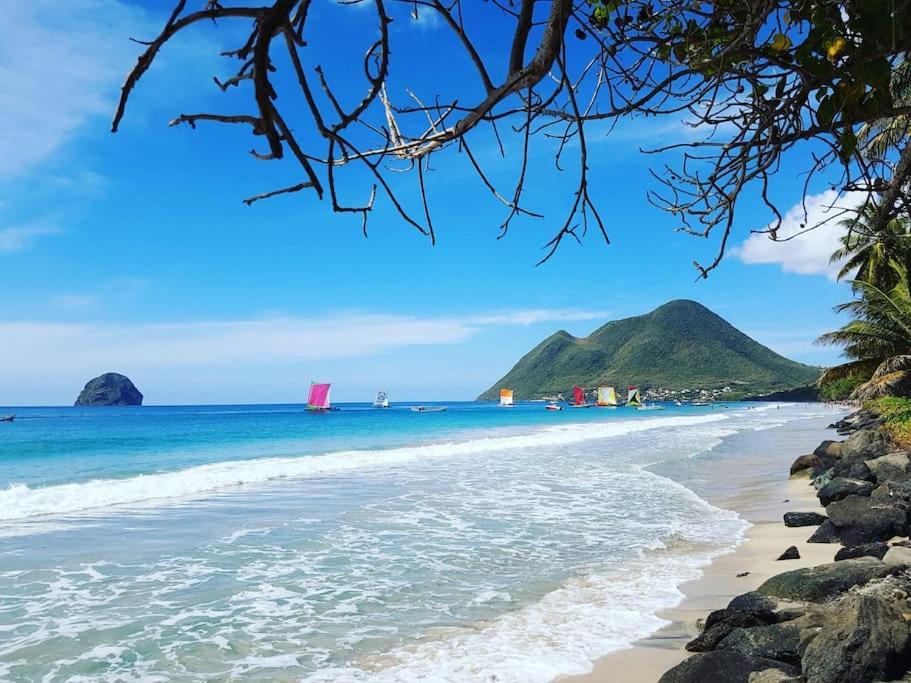 Charmant Et Spacieux Studio A 50M De La Plage Le Diamant Dış mekan fotoğraf