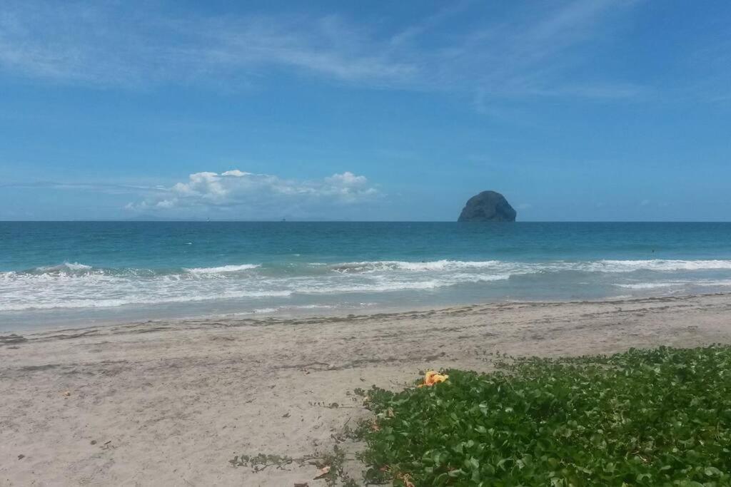 Charmant Et Spacieux Studio A 50M De La Plage Le Diamant Dış mekan fotoğraf